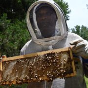 Kickapoo Honey