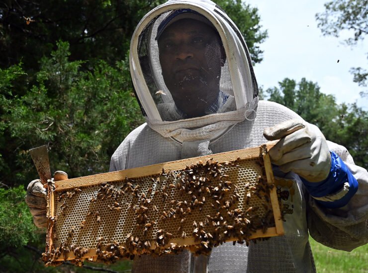 Kickapoo Honey