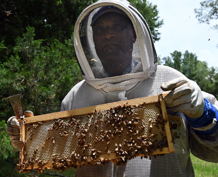 Kickapoo Honey