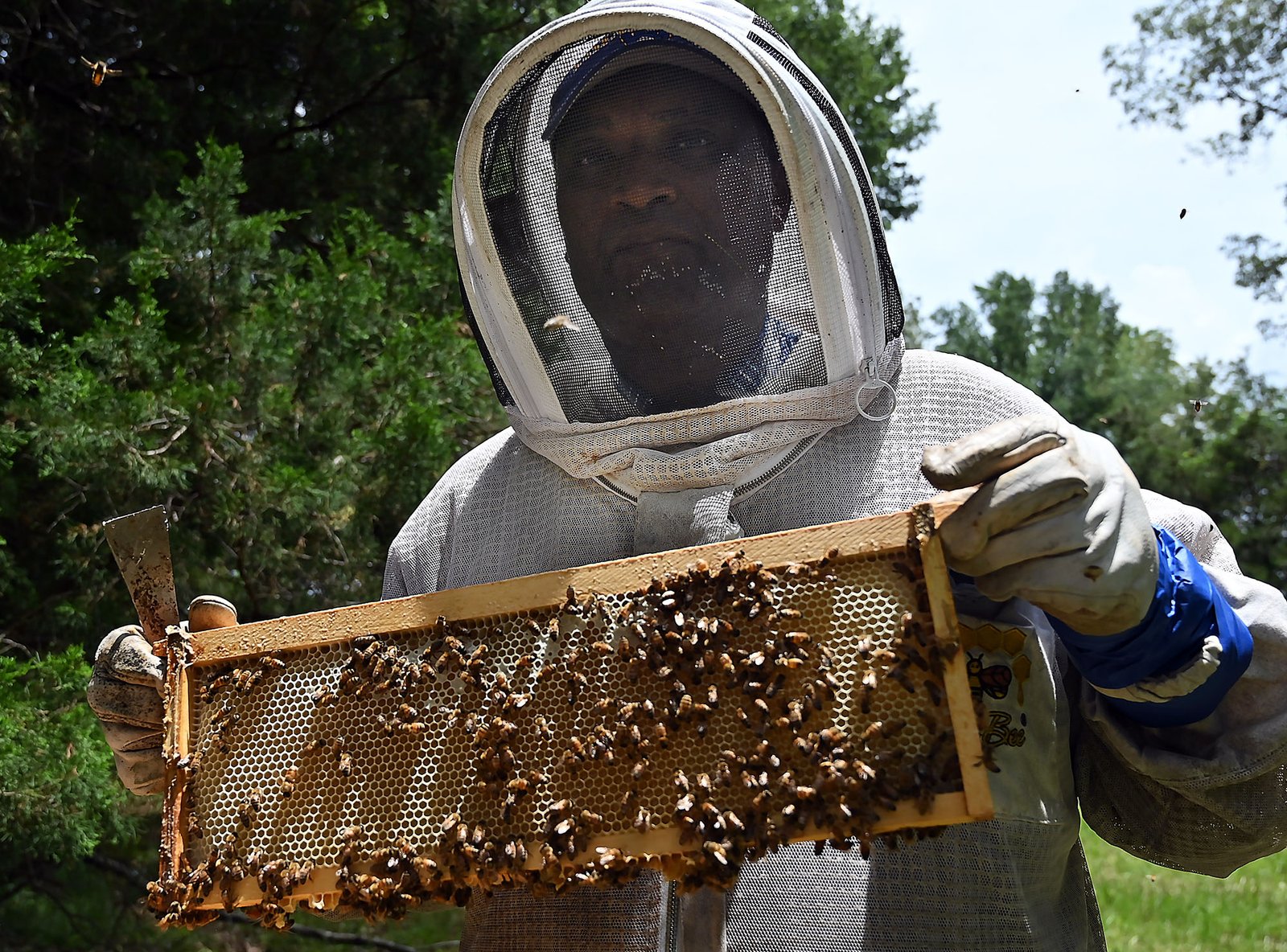 Kickapoo Honey